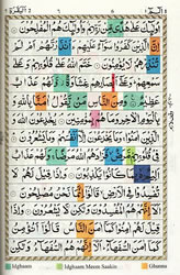 Modal Additional Images for Tajweed Quran in 30 Parts (A5)