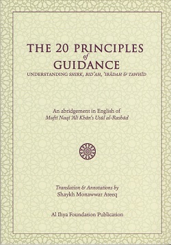 (image for) The 20 Principles of Guidance : New