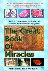 (image for) The Great Book of Miracles