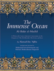 (image for) The Immense Ocean