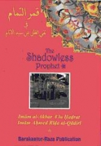 (image for) The Shadowless Prophet