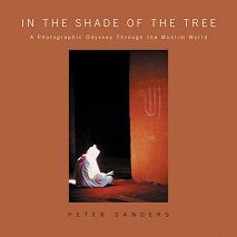 (image for) In the Shade of the Tree
