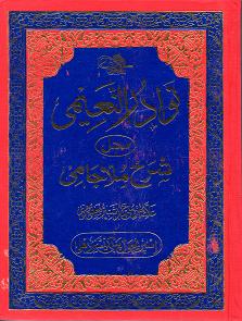 (image for) Nawadirun Na'eemi Sharh Mulla Jami : Urdu