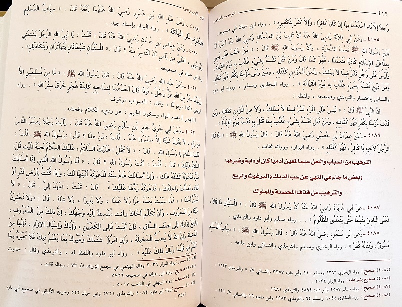 Al-Targhib w'al-Tarhib : 2 Vols Arabic