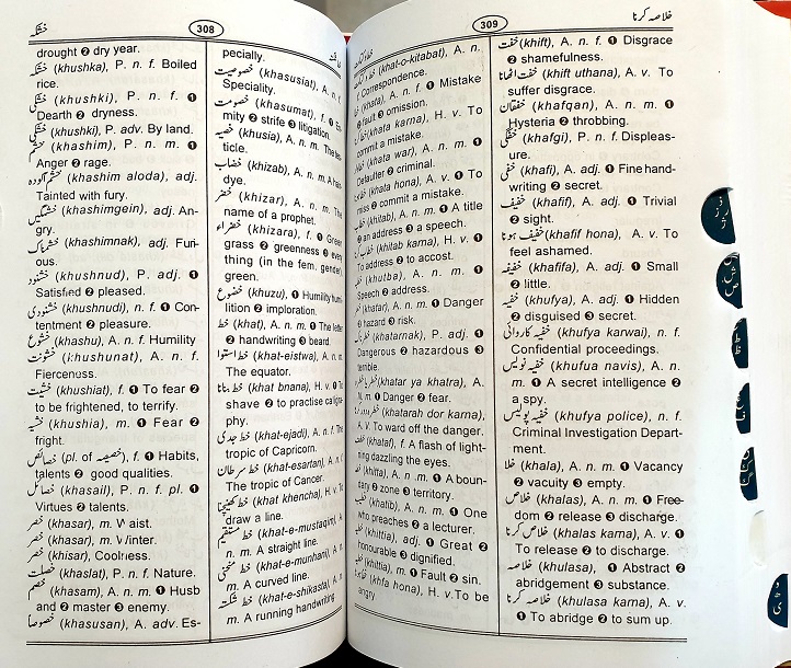 Concise Urdu - English Dictionary