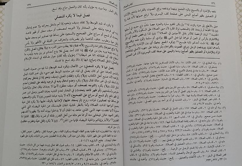 Modal Additional Images for Maraqi al Falah bi Imdad al-Fatah sharh Nur al Idah