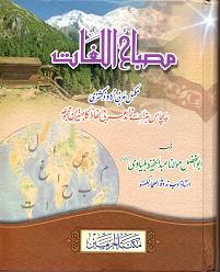 (image for) Misbah al-Lughat : Arab/Urdu Dict. [A5+]
