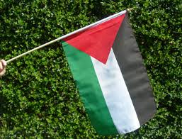 (image for) Palestine Hand Flag on Stick 18" x 12"