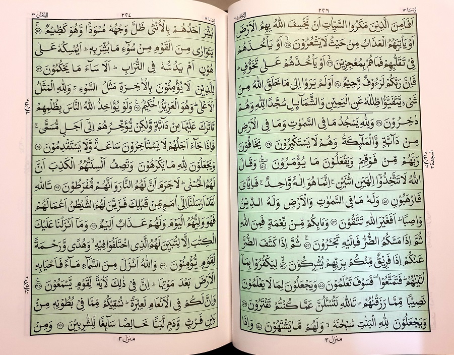 Modal Additional Images for Qur'an [25] 16 Lines Green
