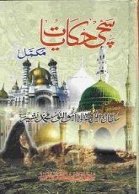 (image for) Sachchi Hikayat : Vol 1 Urdu