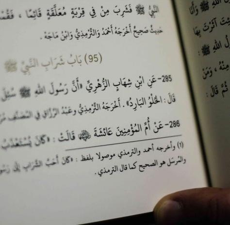 Shama’il al-Habib al-Mustafa : Leather
