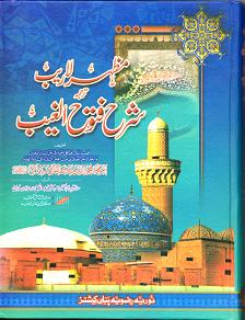 (image for) Sharh Futuh al Ghayb [A4] : Urdu