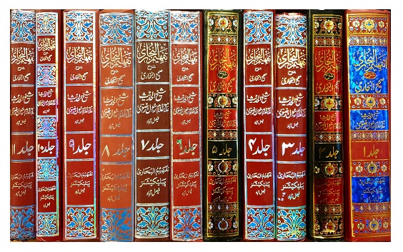 (image for) Tafheem al-Bukhari : 11 Vols, Urdu