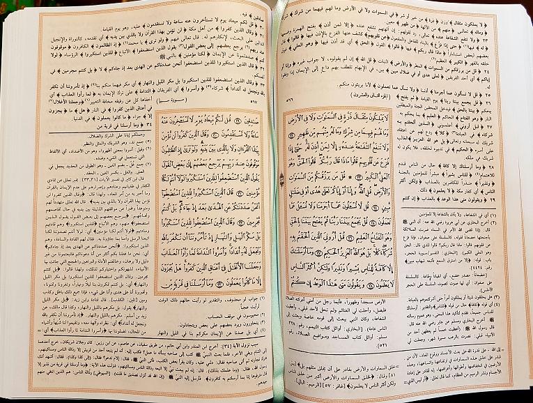 Tafsir al-Jalalayn : Arabic [DM]