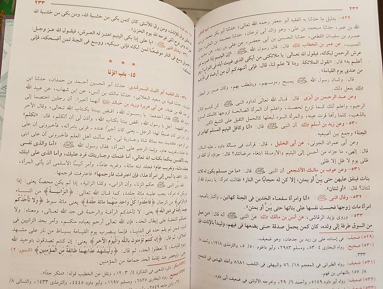 Modal Additional Images for Tanbih al-Ghafilin : Arabic