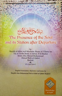 (image for) The Presence of the Soul ...