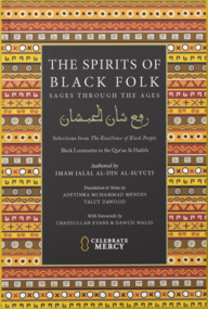 (image for) The Spirits of Black Folk : New