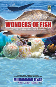 (image for) Wonders of Fish : New